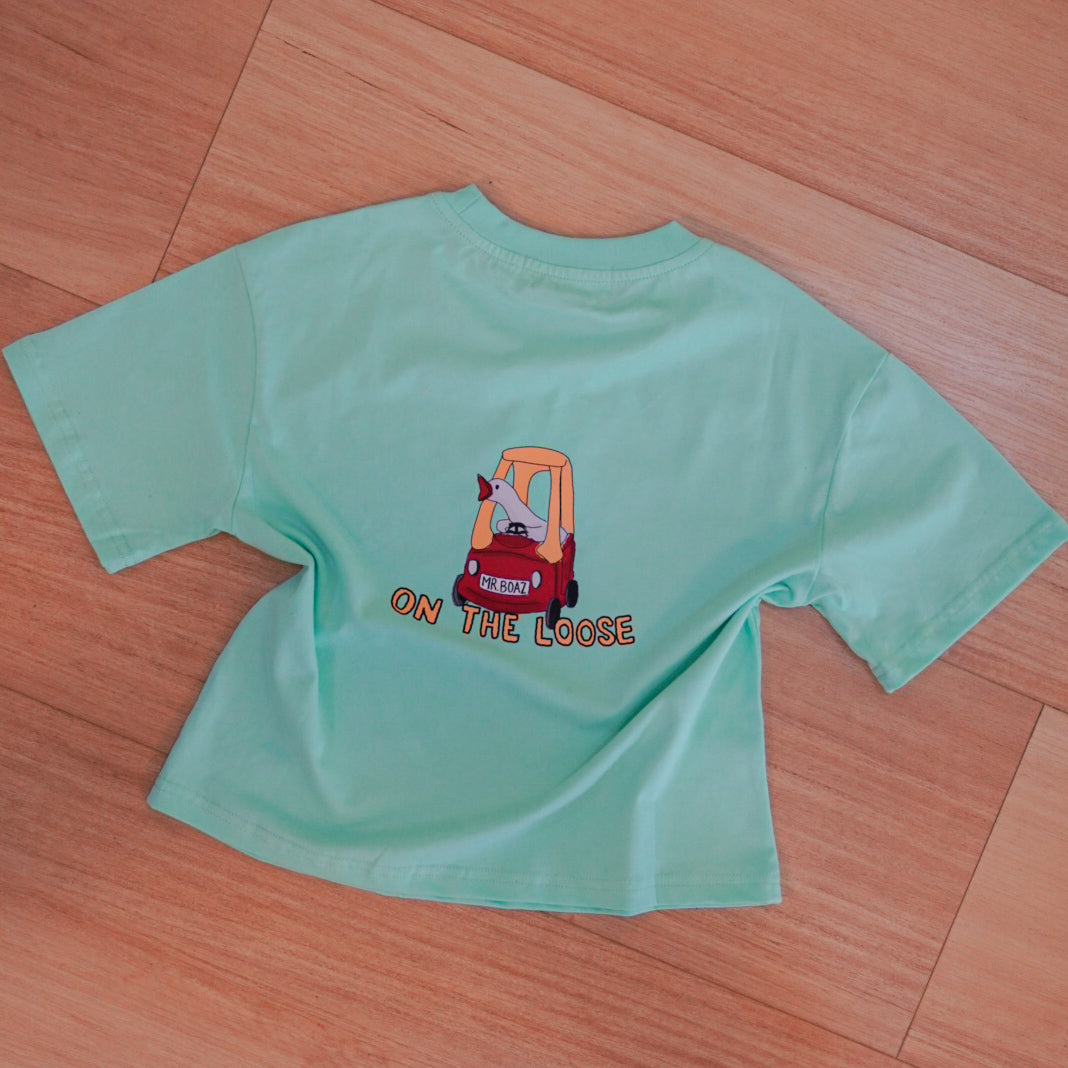 Silly goose on the loose