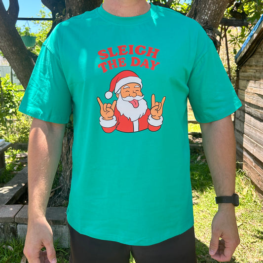 Sleigh the day