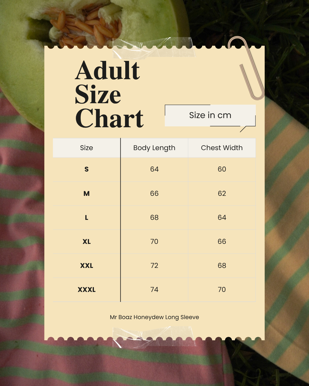 Adult Honeydew Long Sleeve