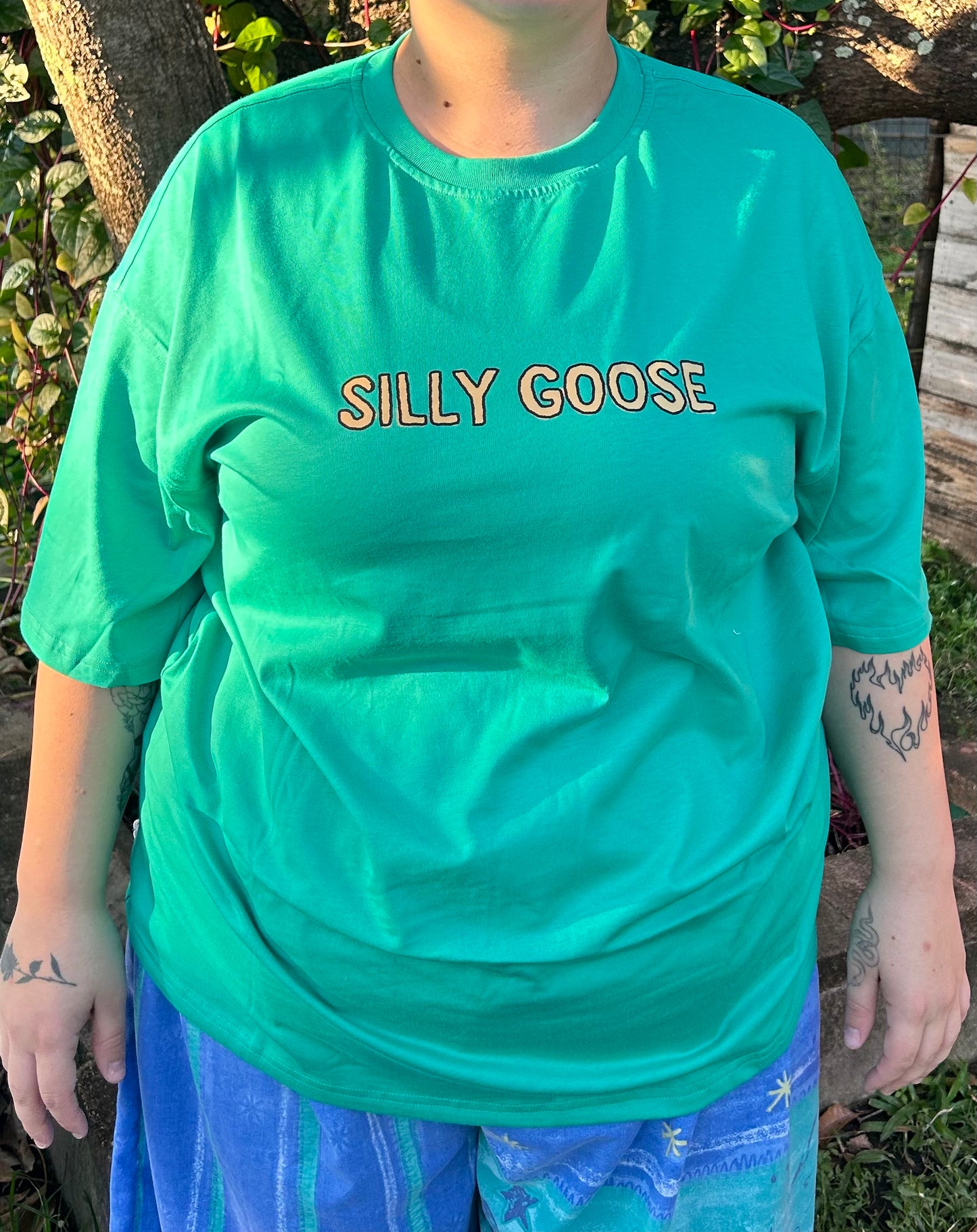 Silly goose on the loose