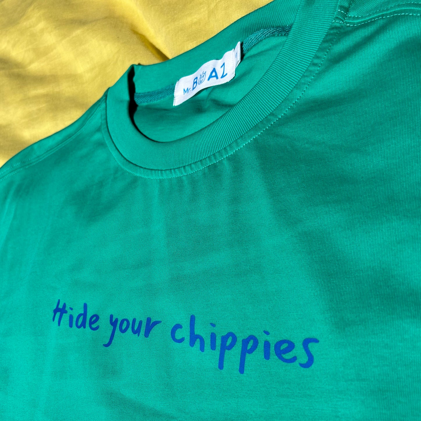 Hide your chippies (blue)