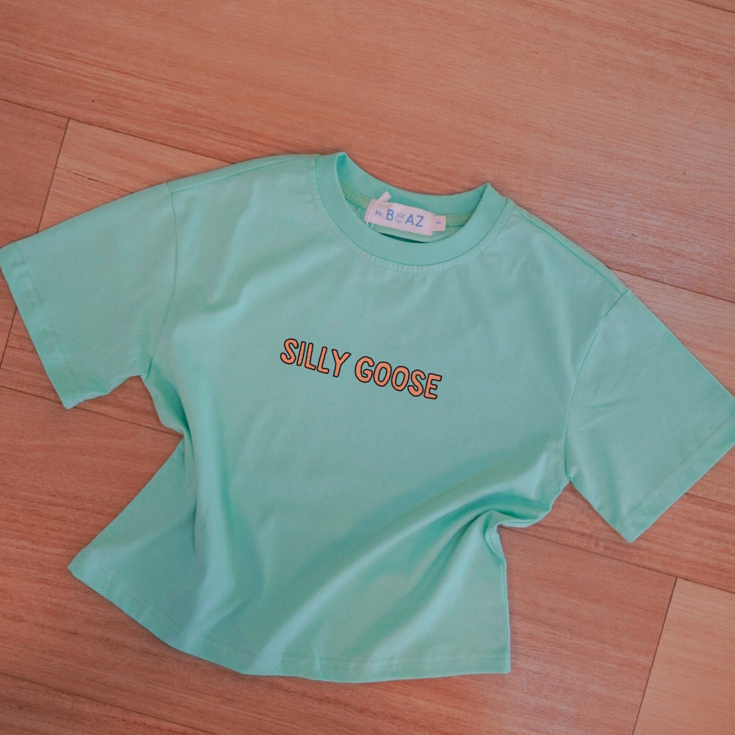 Silly goose on the loose