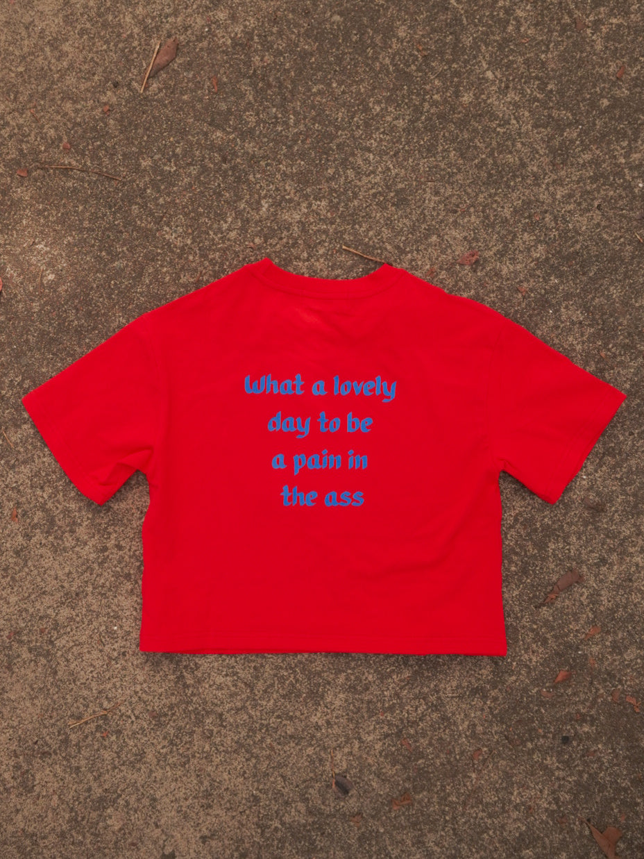 What a lovely day to be a pain in the ass Tee