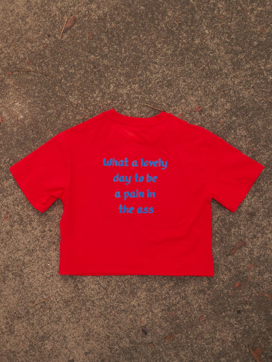 What a lovely day to be a pain in the ass Tee