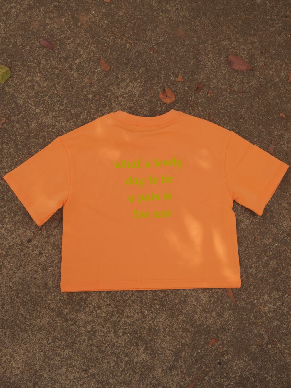 What a lovely day to be a pain in the ass Tee