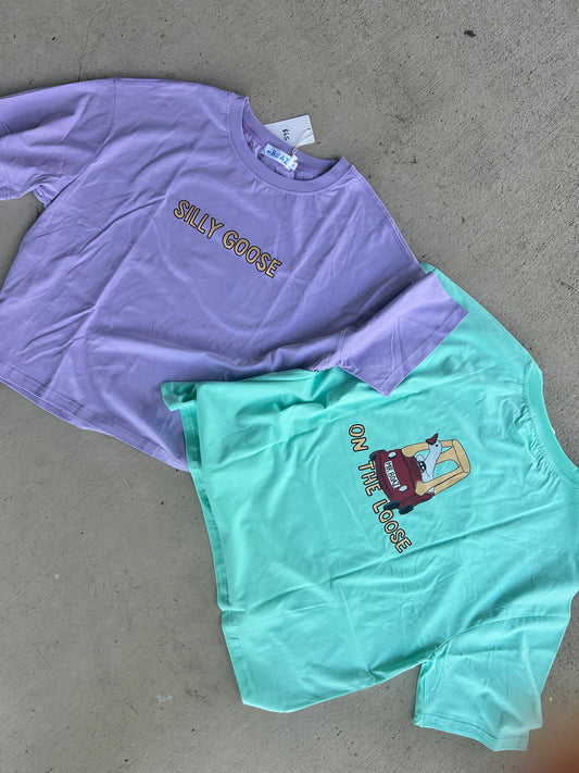 Silly Goose on the Loose